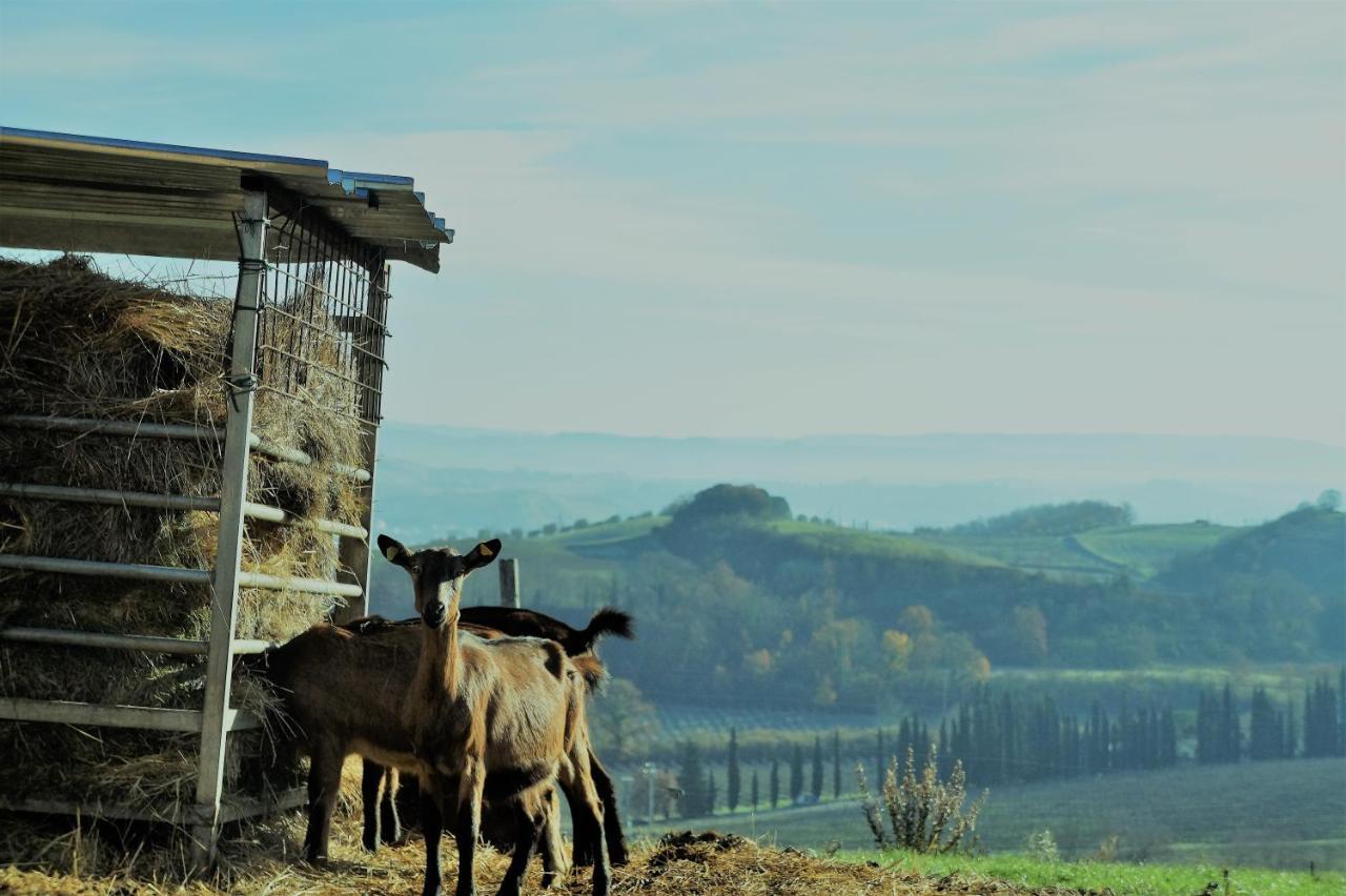 Agriturismo Fattoria Le Caprine Acomodação com café da manhã Gambassi Terme Exterior foto