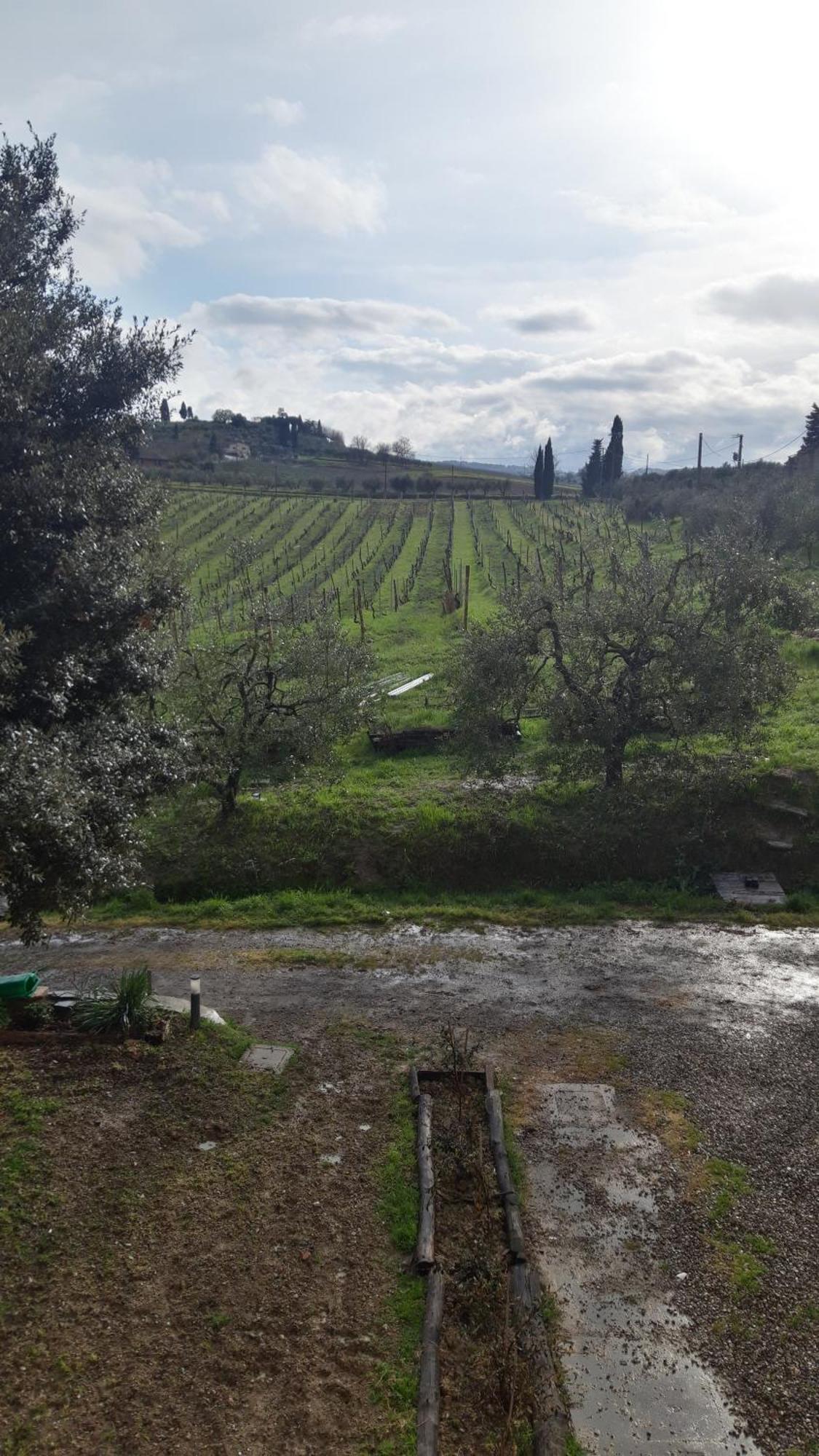 Agriturismo Fattoria Le Caprine Acomodação com café da manhã Gambassi Terme Exterior foto